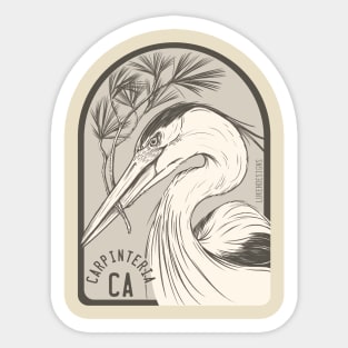 Carpinteria California, Great Blue Heron Sticker